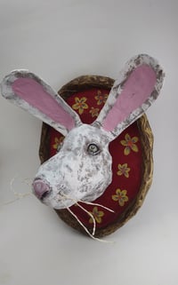 Image 2 of Bunny 2
