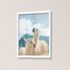 Llamas 11x14 Photograph