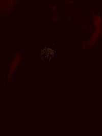 Image 2 of sometimelastyear - sometimes i'm scared…(definitive edition)