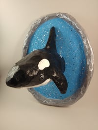 Image 1 of Orca 1