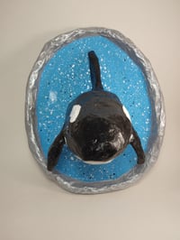Image 2 of Orca 1
