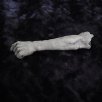 Image 4 of GODLESS: FRANK GRIFFIN'S SEVERED ARM - Stephen Murphy