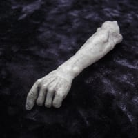 Image 5 of GODLESS: FRANK GRIFFIN'S SEVERED ARM - Stephen Murphy