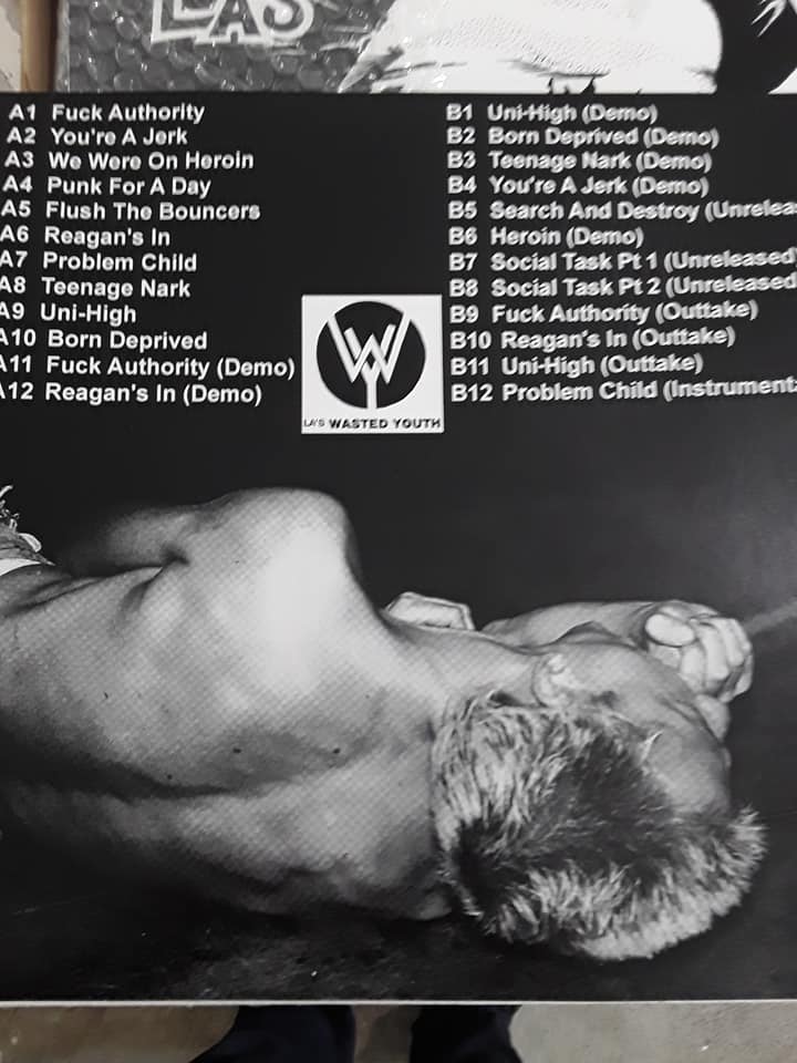 Image of Wasted Youth - "Reagan's In + Demos & Outtakes" Lp