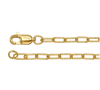Gold-Filled Oval Chain