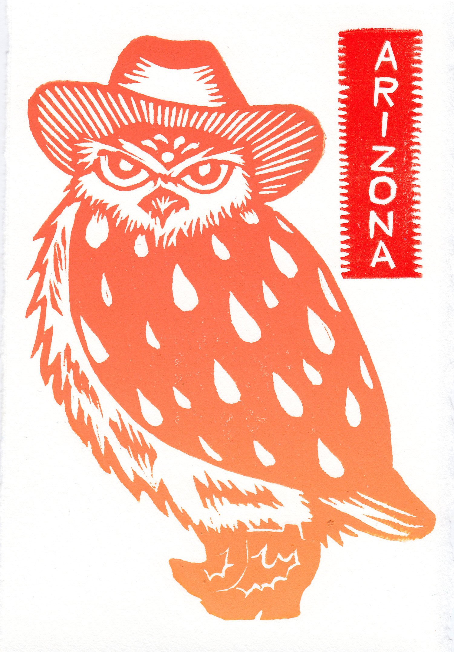 Special Edition Southwest Owl