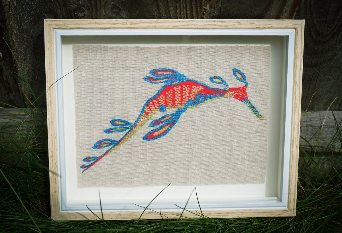 Image of Weedy seadragon (Gold)