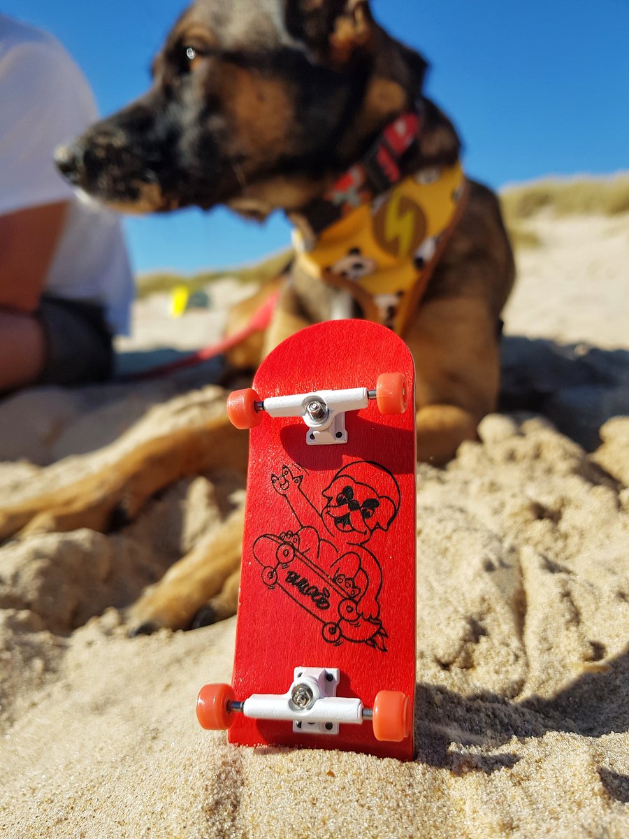 Image of 🛹 SHREDDER | PRO Fingerboard