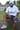Lonestar Jersey (White)