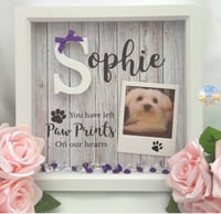 Image 2 of Personalised Pet Loss Frame,Pet Memorial Frame,Pet Loss Gift, Pet Initial Frame,Pet Remembrance Fram