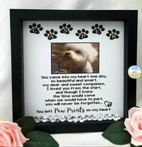 Image 1 of Personalised Pet Loss Frame,Pet Memorial Frame,Pet Loss Gift