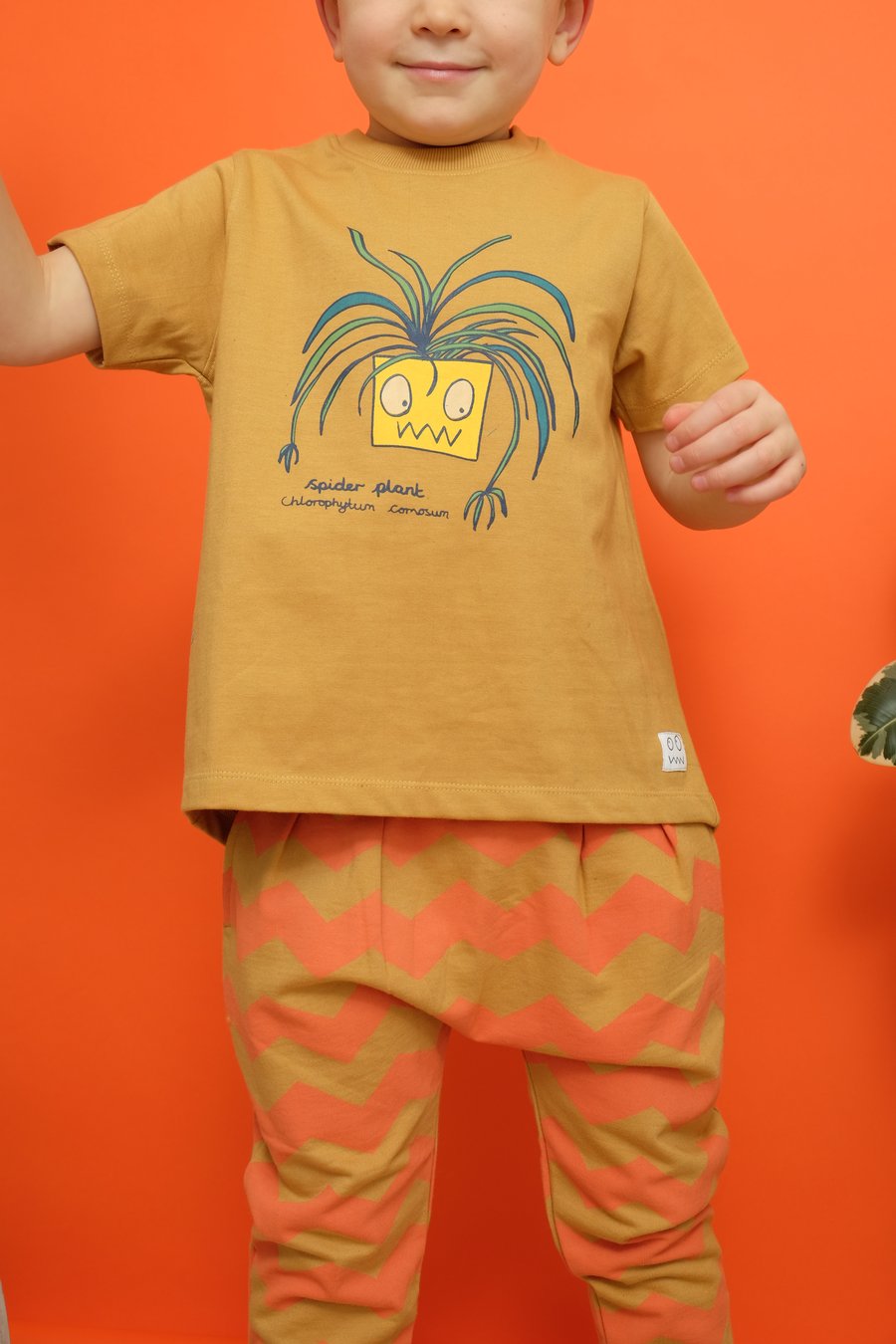 Image of SPIDER - 40% OFF - 0/6m, 6/12m, 12/24m, 10/11y