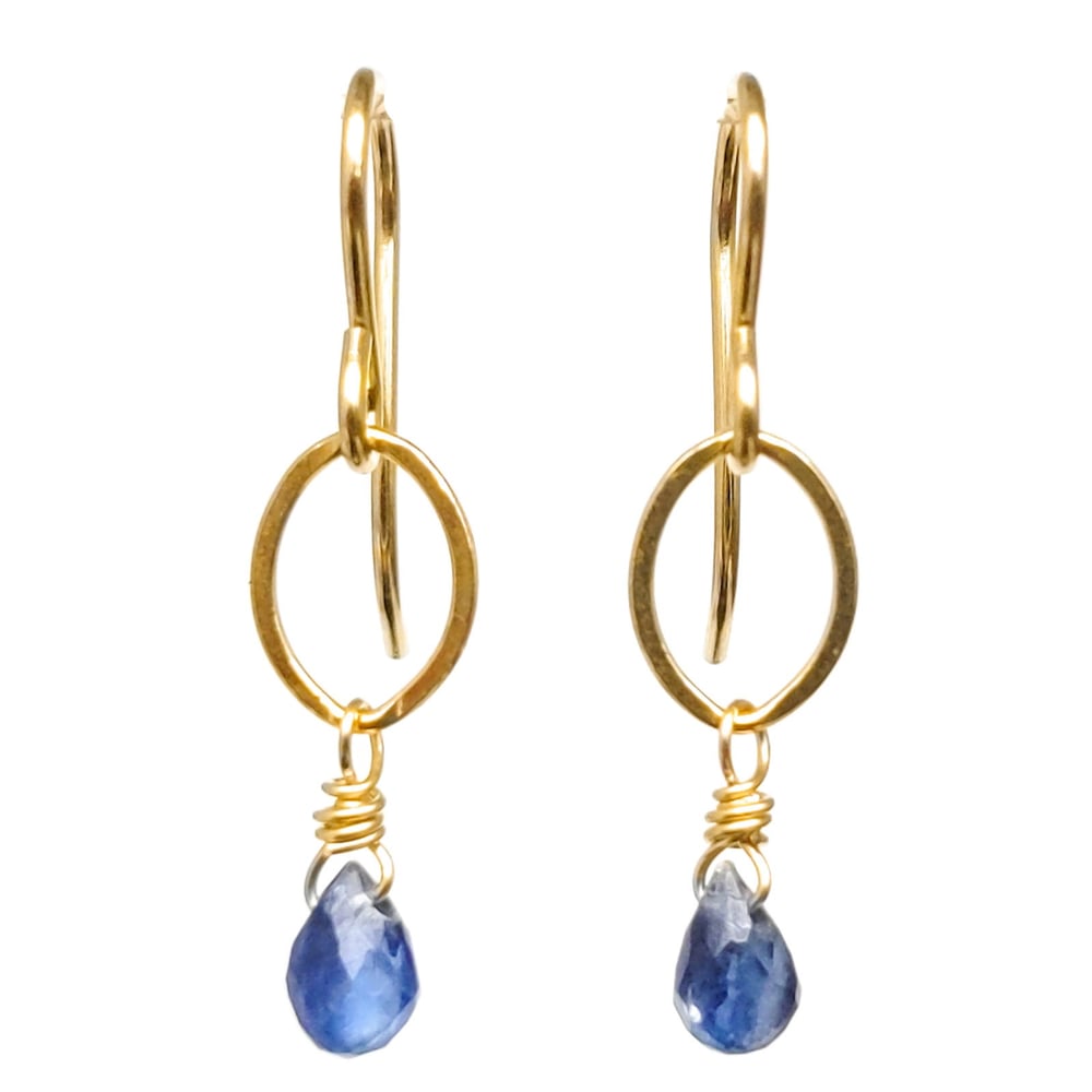 Image of Tiny Kyanite Earrings