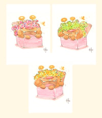 Funfetti Donut Pups | 3-Pack 5 x 7" Prints