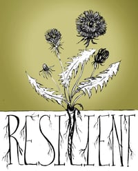 Resilient- Dandelion Sicker