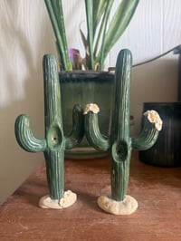 Image 1 of Cacti 🌵 
