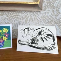 ‘Cat Study’ card