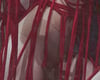 SUSPIRIA (2018) #2