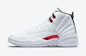 Image of Air Jordan 12 Twist