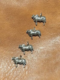Image 1 of  Brahman Charms