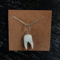 Image 1 of Tooth Necklace