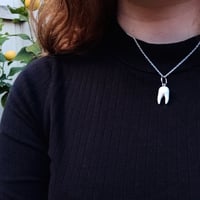 Image 2 of Tooth Necklace