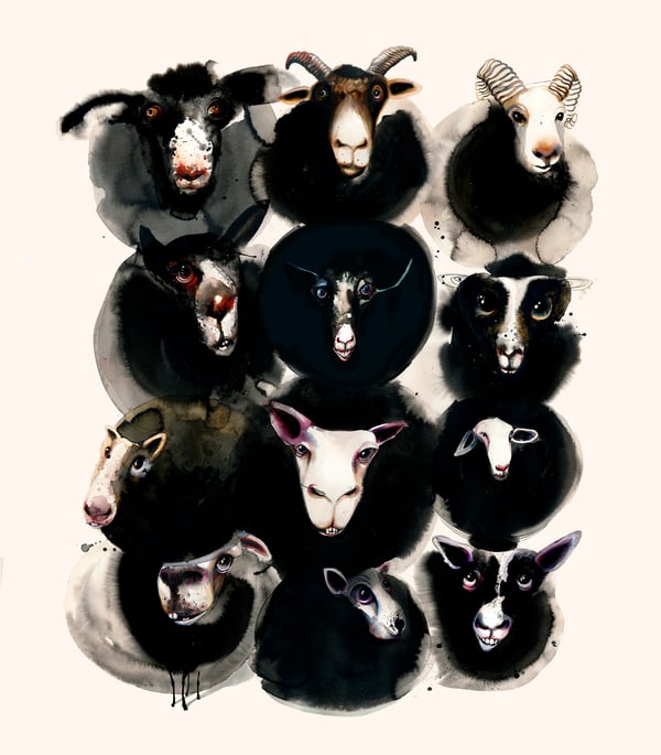 Image of Black sheep family