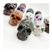 Image 1 of Polished Skulls