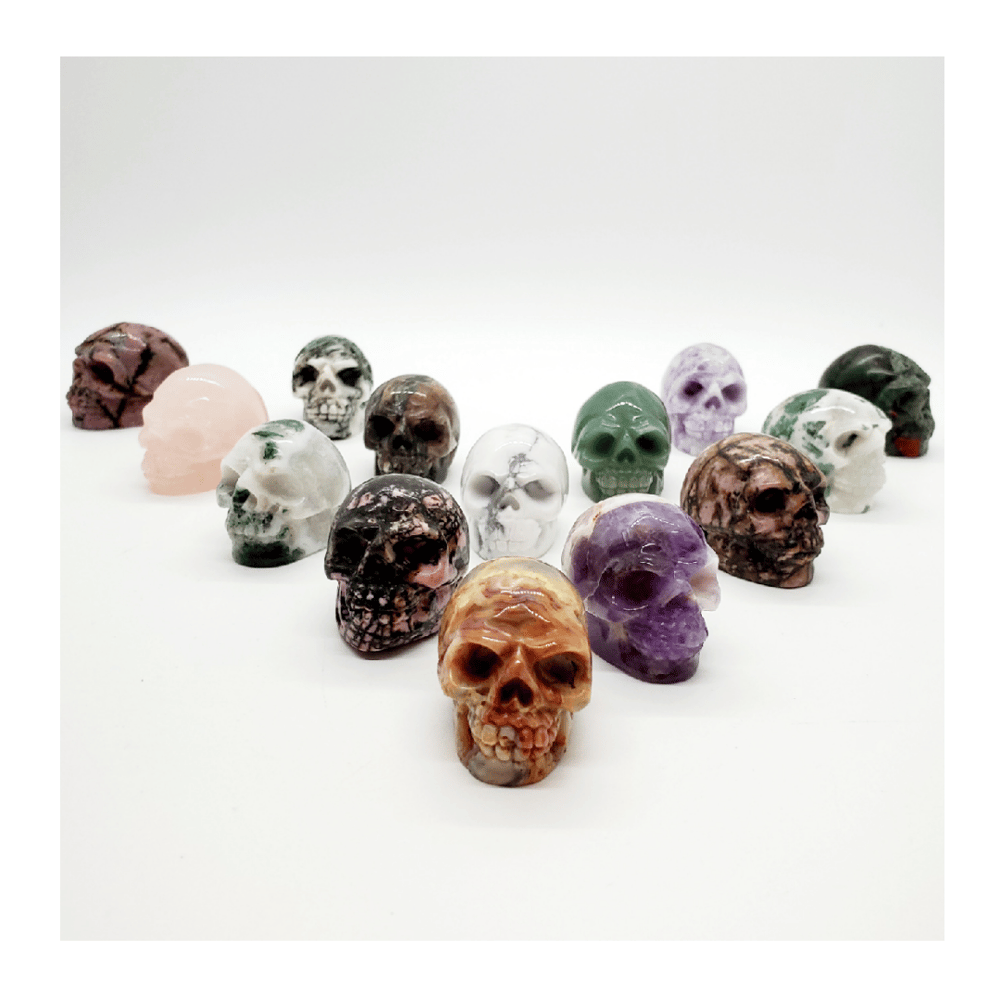 Image of Polished Skulls