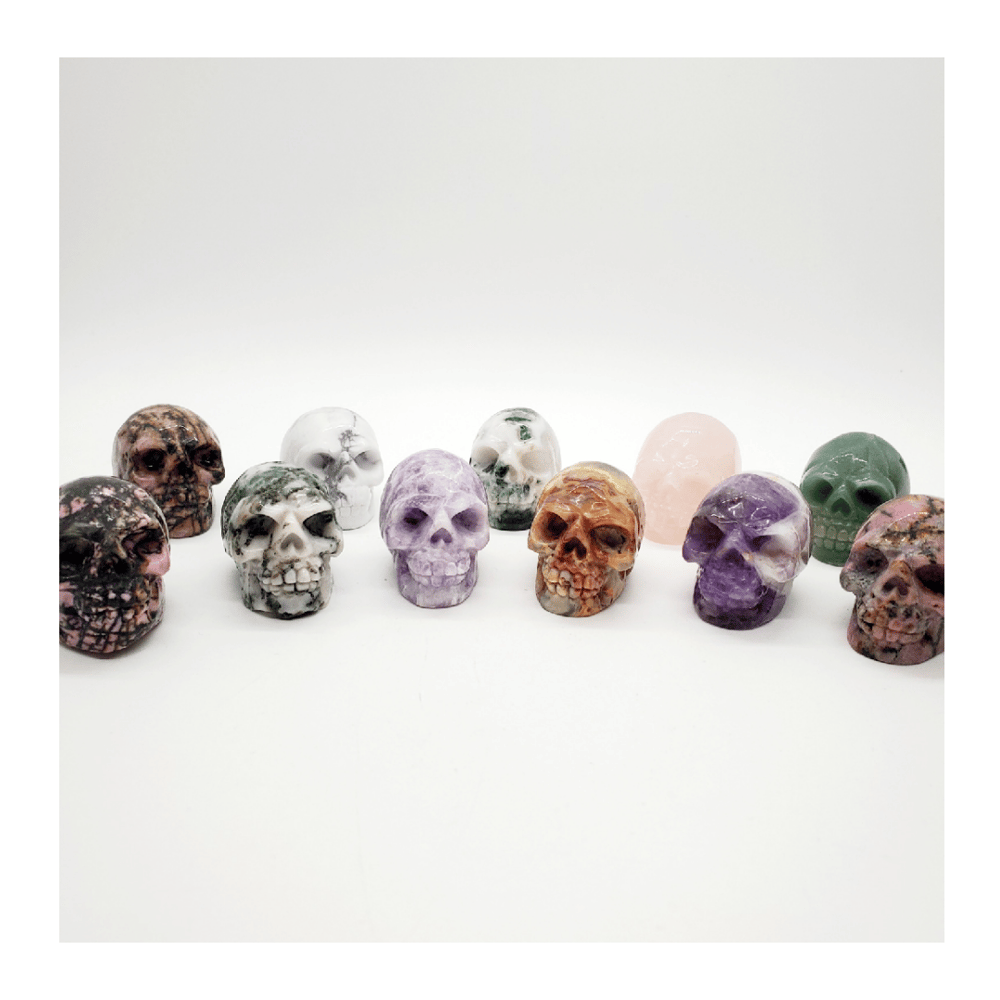 Image of Polished Skulls