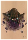 “Black rose” print (DP430)