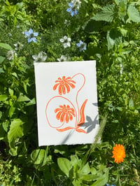 Wild Flower in Orange