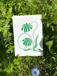 Wild Flower in Green Edition Print