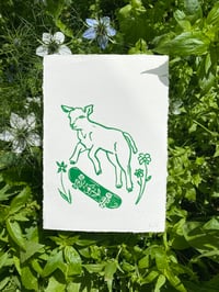 Skater Lamb Print Edition