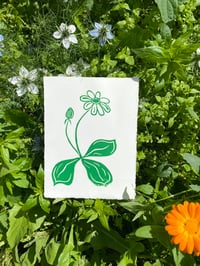 Dandelion in Green Print