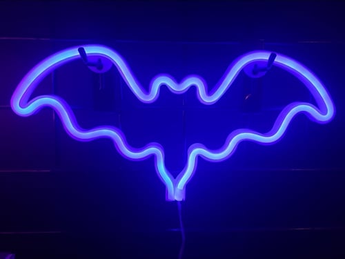 Image of Bat LED Light