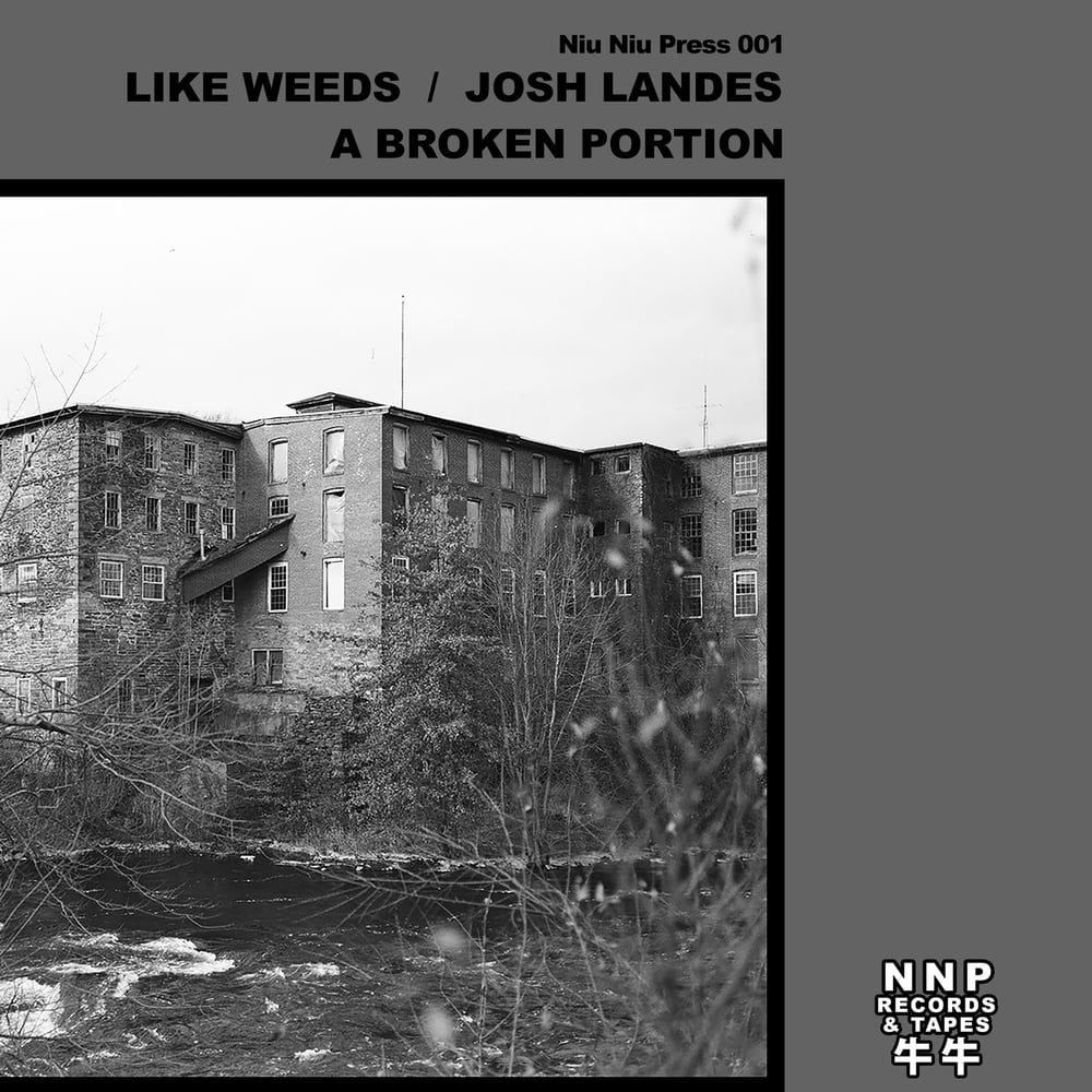Image of Like Weeds/Josh Landes