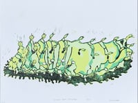 Cecropia Moth Caterpillar Limited Edition Print 