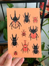 Beetles! Sticker Sheet