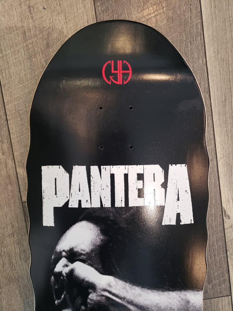 Image of PANTERA VULGAR DISPLAY OF POWER