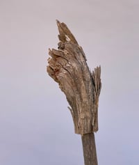 Image 3 of "the Kneeler"