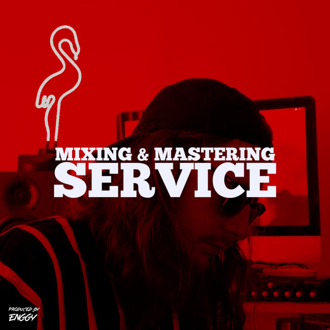 Enggy Mixing & Mastering Service | Rinsed Out Records