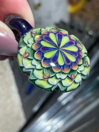 Image 7 of Stellar slyme 