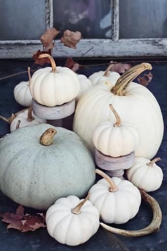 Image of White Pumpkin