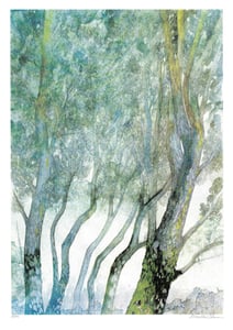 Image of Foggy Forest 