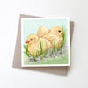  Greeting Card - Three little Chicks  