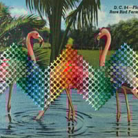 Image 3 of SOCIAL WITHDRAWAL