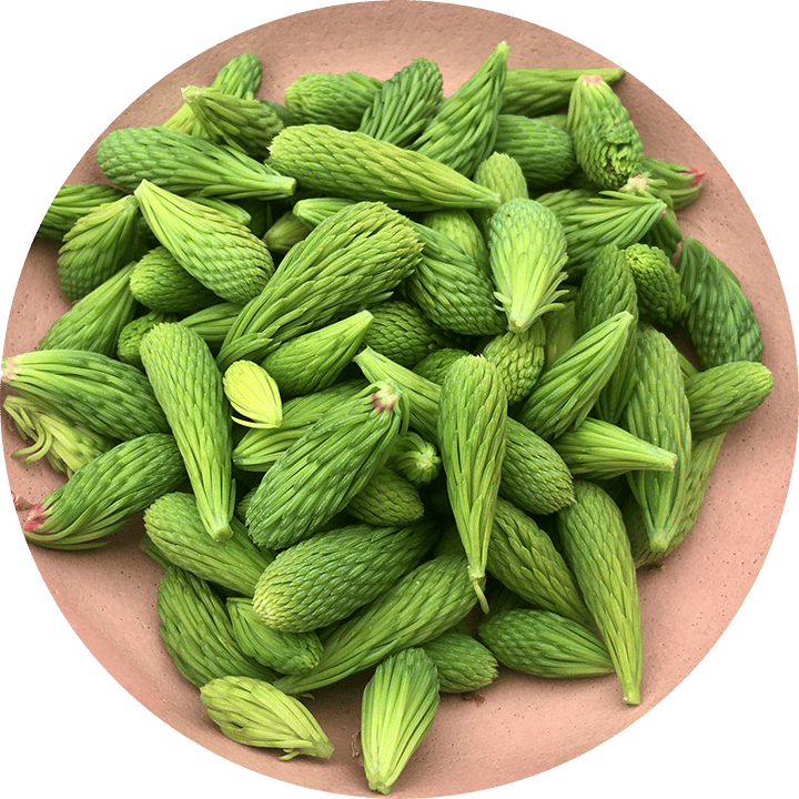 Spruce Tips Sea Salt Image 2