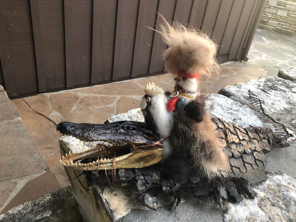 Image of Shaman & The Alligator