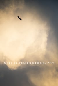 Image 1 of End Of The World